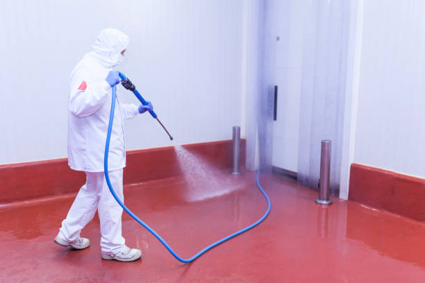 Best Boat and Dock Cleaning  in Bradner, OH